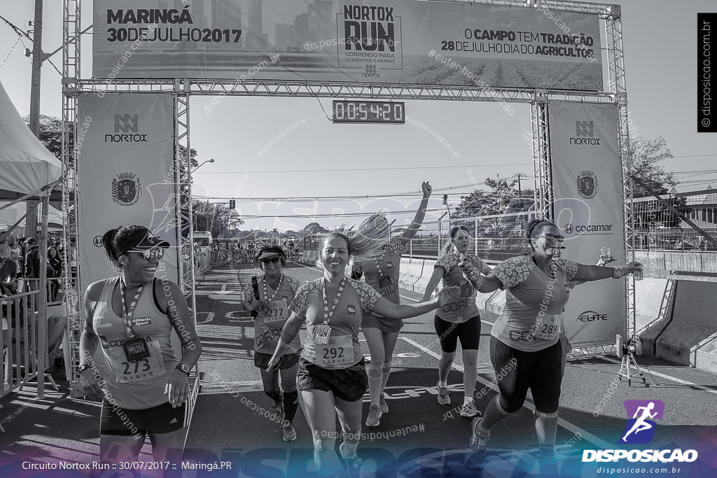 Circuito Nortox Run 2017 :: Etapa Maringá