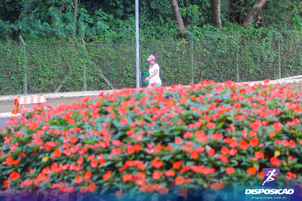 Domingo no Parque do Ingá