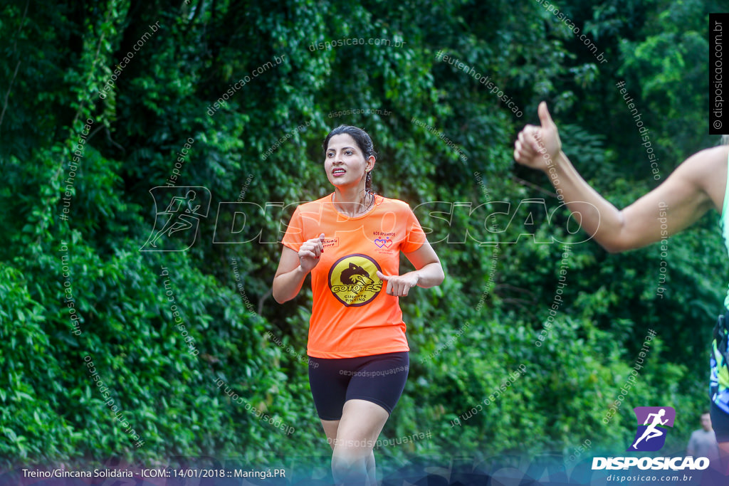 Treino Solidário ICOM 2018 - Bosque 2