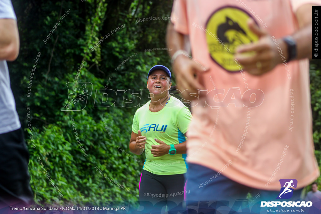 Treino Solidário ICOM 2018 - Bosque 2