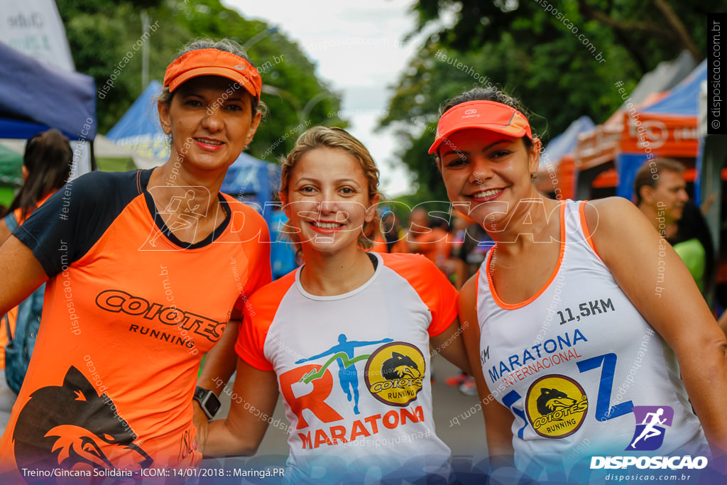 Treino Solidário ICOM 2018 - Bosque 2