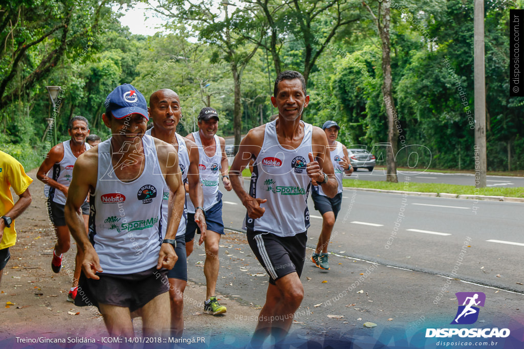 Treino Solidário ICOM 2018 - Bosque 2