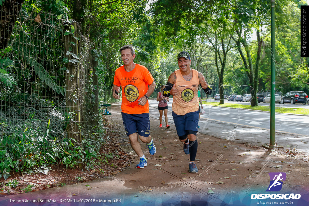 Treino Solidário ICOM 2018 - Bosque 2