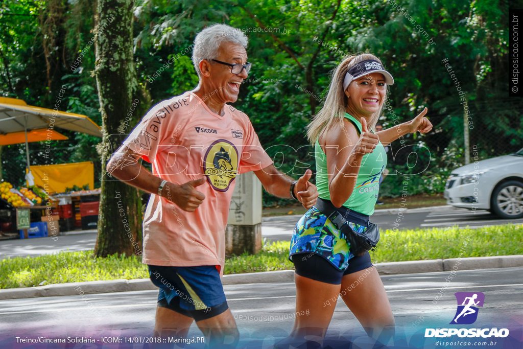 Treino Solidário ICOM 2018 - Bosque 2