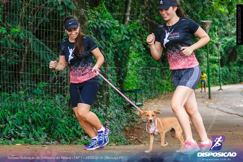 Treino Solidário Amigo Pet - ICOM