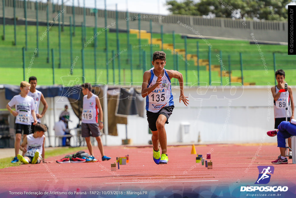 TORNEIO FAP II - ADULTO, SUB 16 E SUB 14