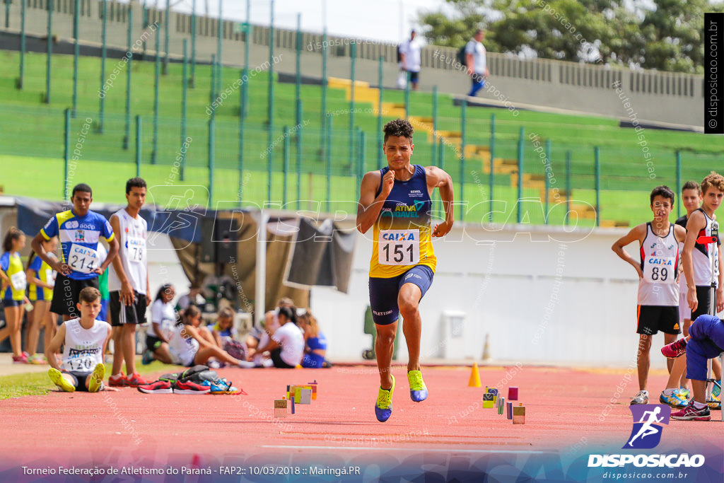 TORNEIO FAP II - ADULTO, SUB 16 E SUB 14