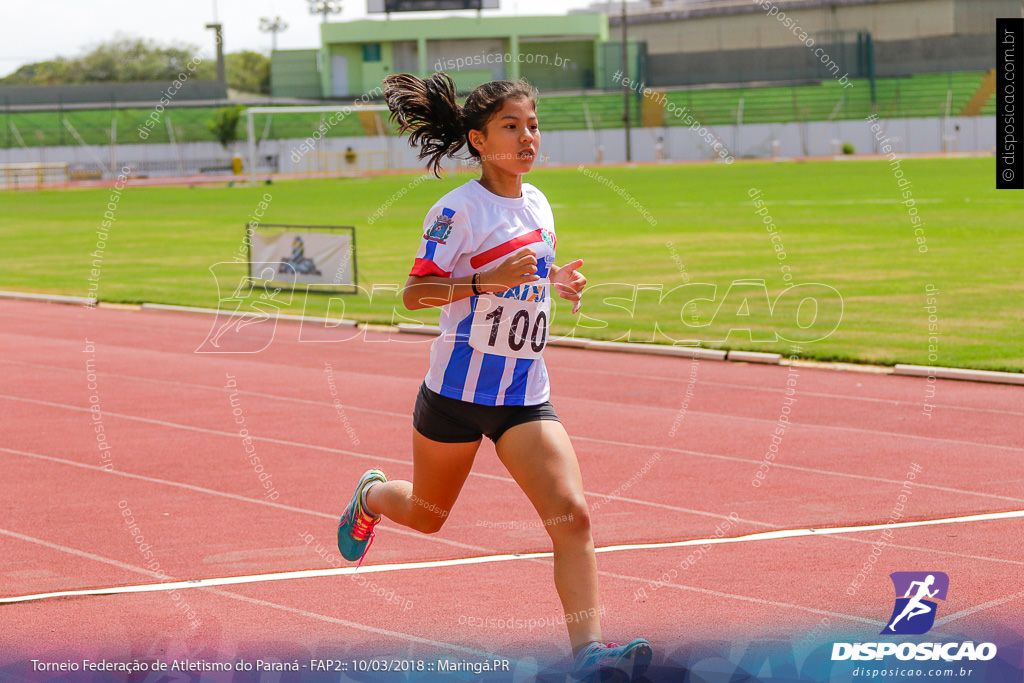 TORNEIO FAP II - ADULTO, SUB 16 E SUB 14