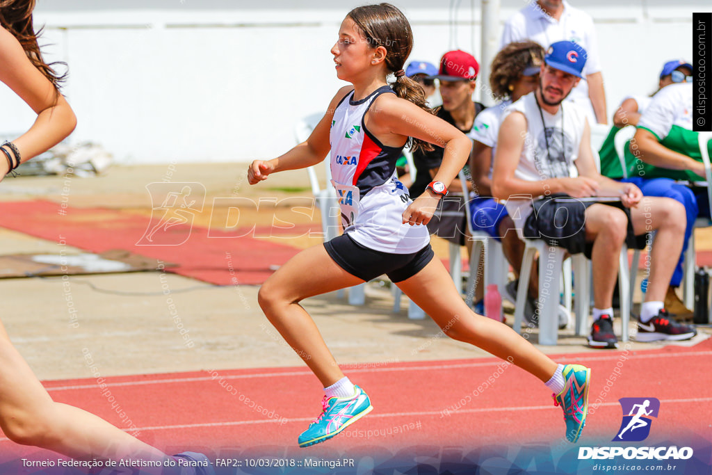 TORNEIO FAP II - ADULTO, SUB 16 E SUB 14