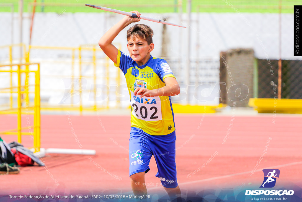 TORNEIO FAP II - ADULTO, SUB 16 E SUB 14