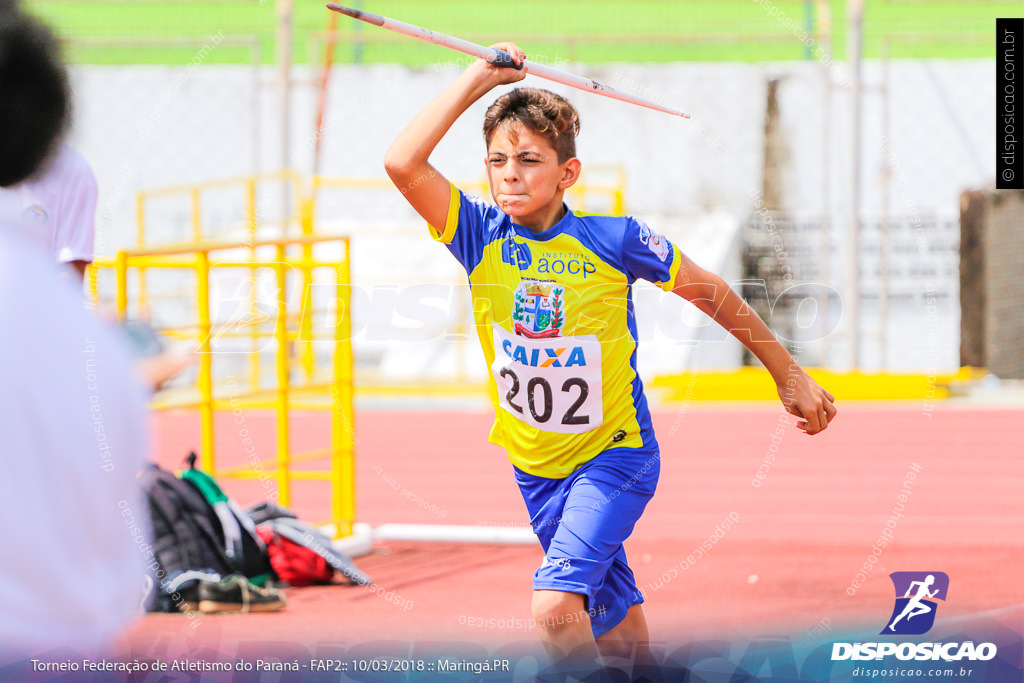 TORNEIO FAP II - ADULTO, SUB 16 E SUB 14