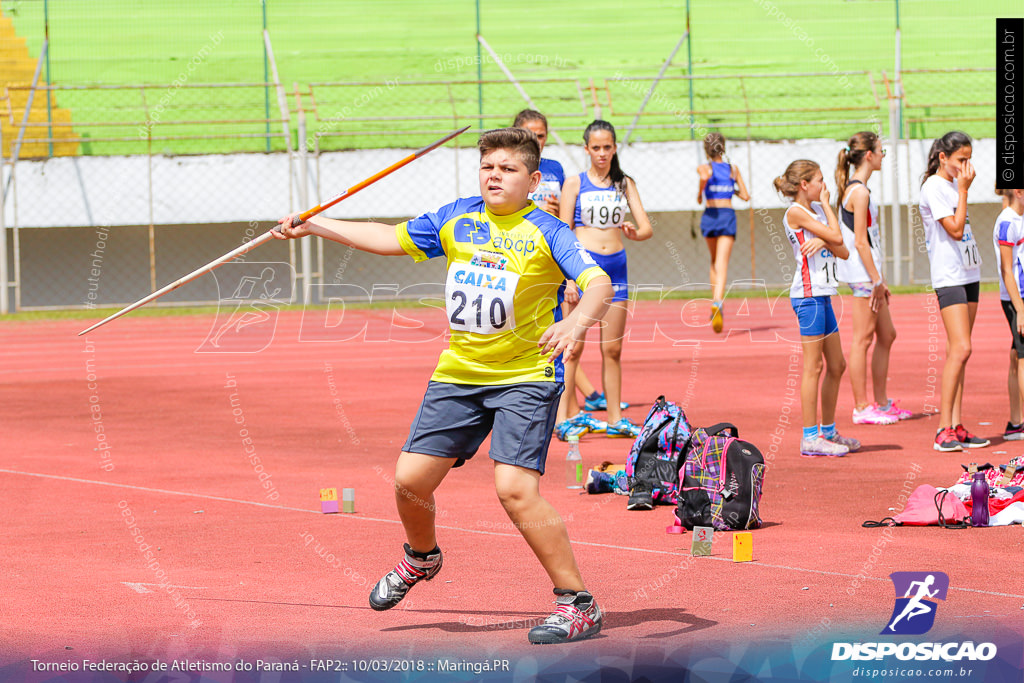 TORNEIO FAP II - ADULTO, SUB 16 E SUB 14