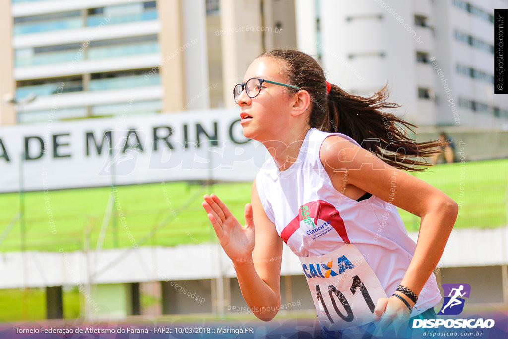 TORNEIO FAP II - ADULTO, SUB 16 E SUB 14