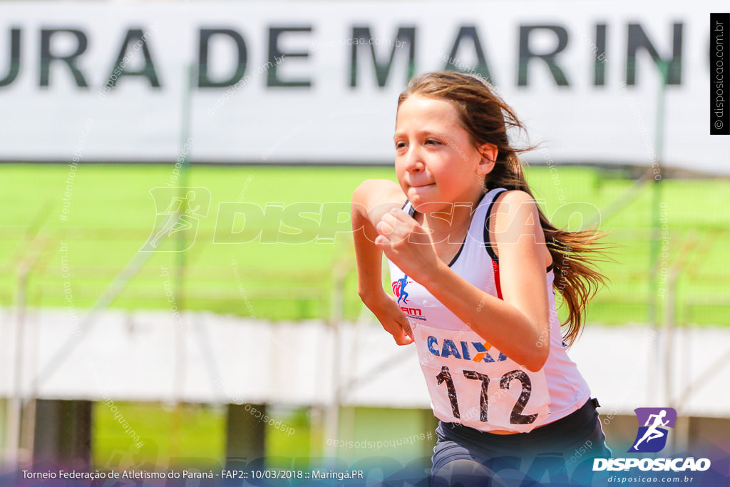 TORNEIO FAP II - ADULTO, SUB 16 E SUB 14