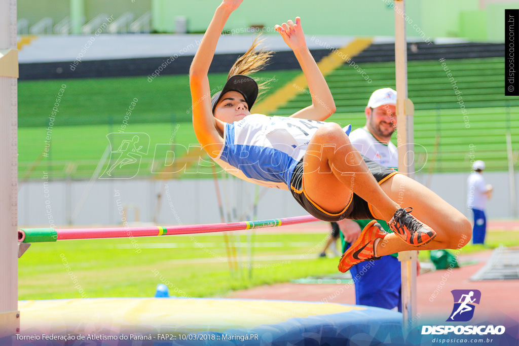 TORNEIO FAP II - ADULTO, SUB 16 E SUB 14