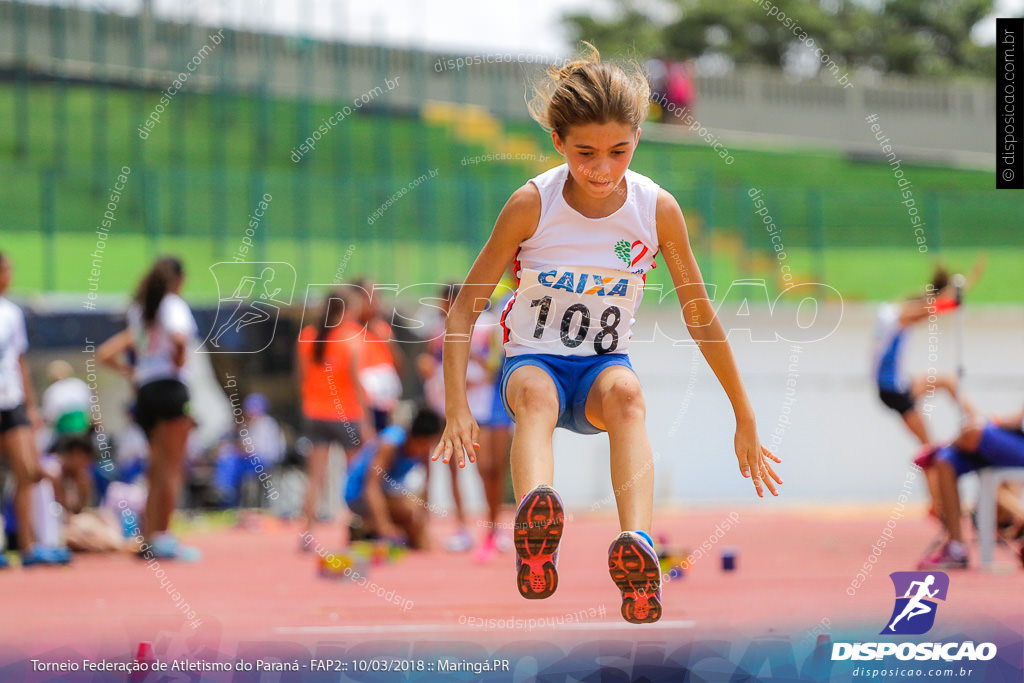 TORNEIO FAP II - ADULTO, SUB 16 E SUB 14