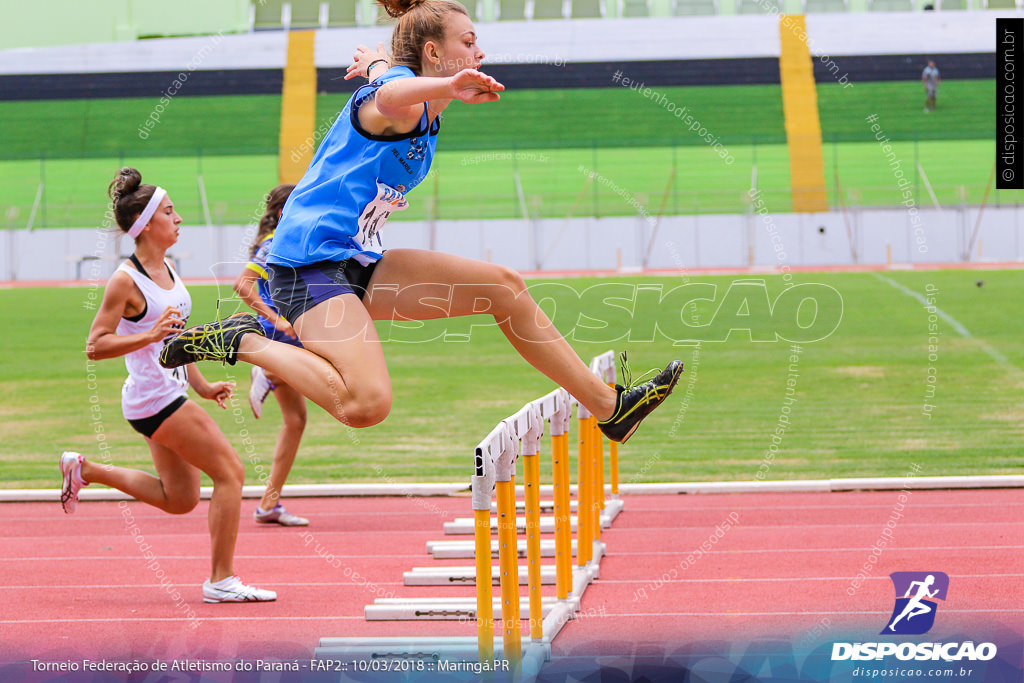 TORNEIO FAP II - ADULTO, SUB 16 E SUB 14