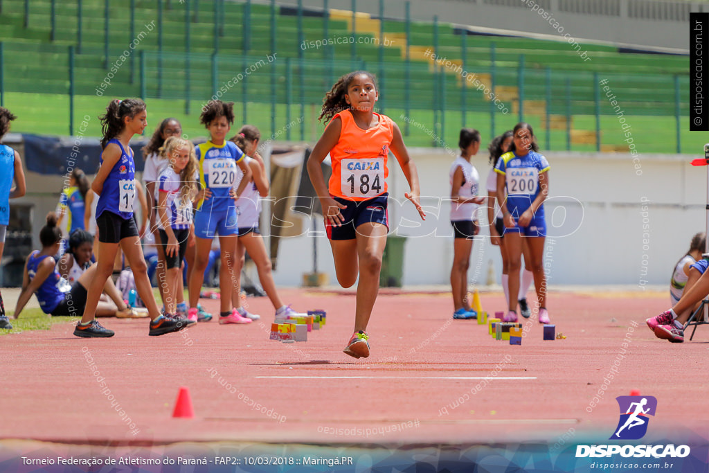 TORNEIO FAP II - ADULTO, SUB 16 E SUB 14