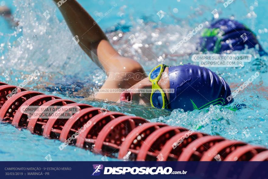 Campeonato de Natação :: Estação Verão 2019