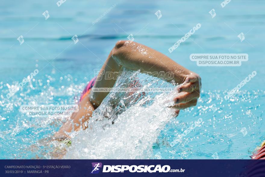 Campeonato de Natação :: Estação Verão 2019