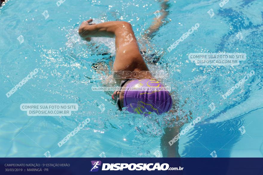 Campeonato de Natação :: Estação Verão 2019