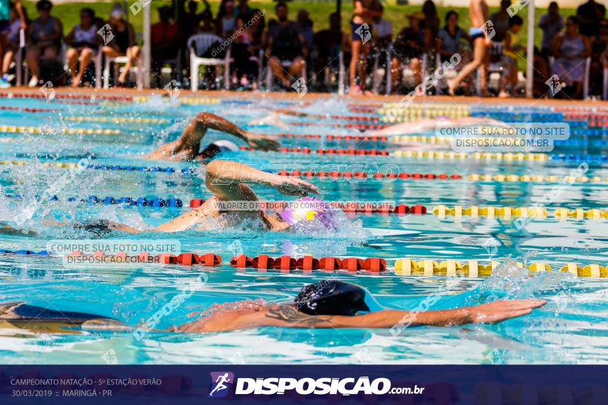 Campeonato de Natação :: Estação Verão 2019