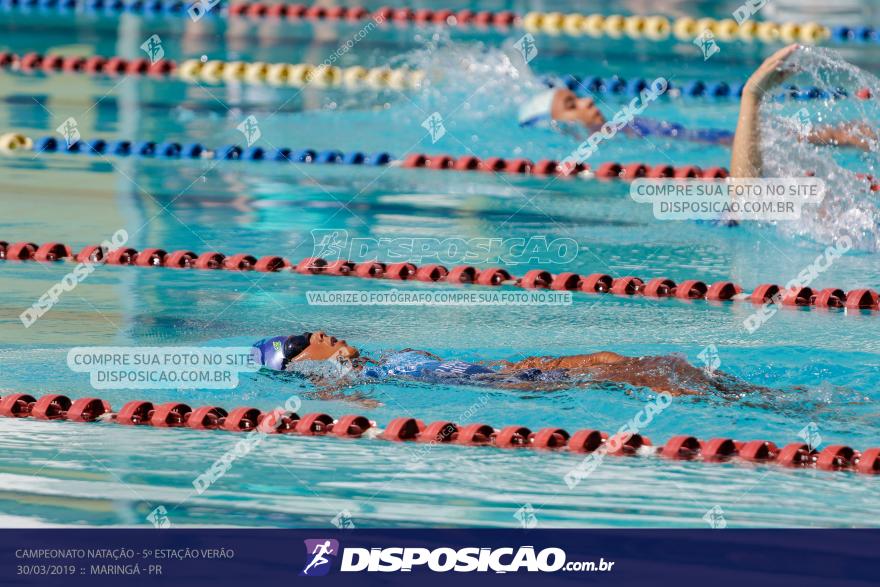 Campeonato de Natação :: Estação Verão 2019