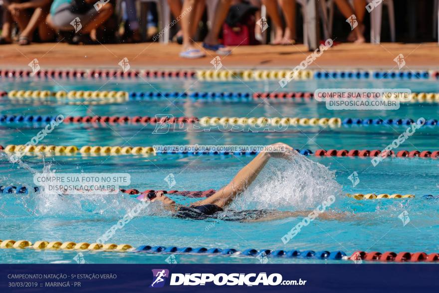 Campeonato de Natação :: Estação Verão 2019