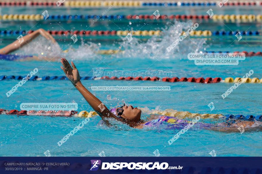 Campeonato de Natação :: Estação Verão 2019