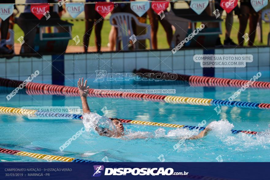 Campeonato de Natação :: Estação Verão 2019