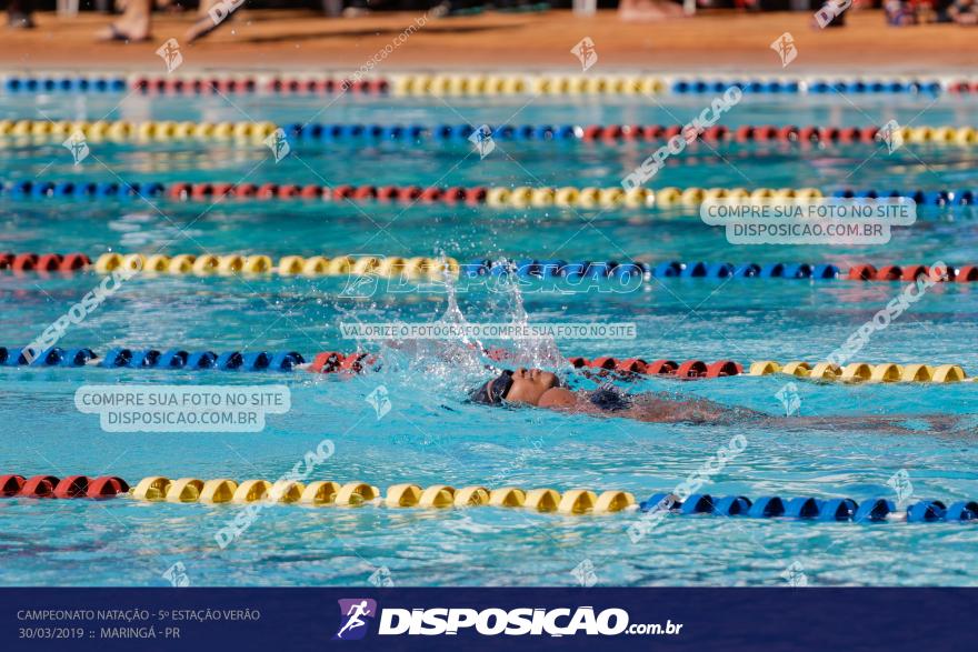 Campeonato de Natação :: Estação Verão 2019