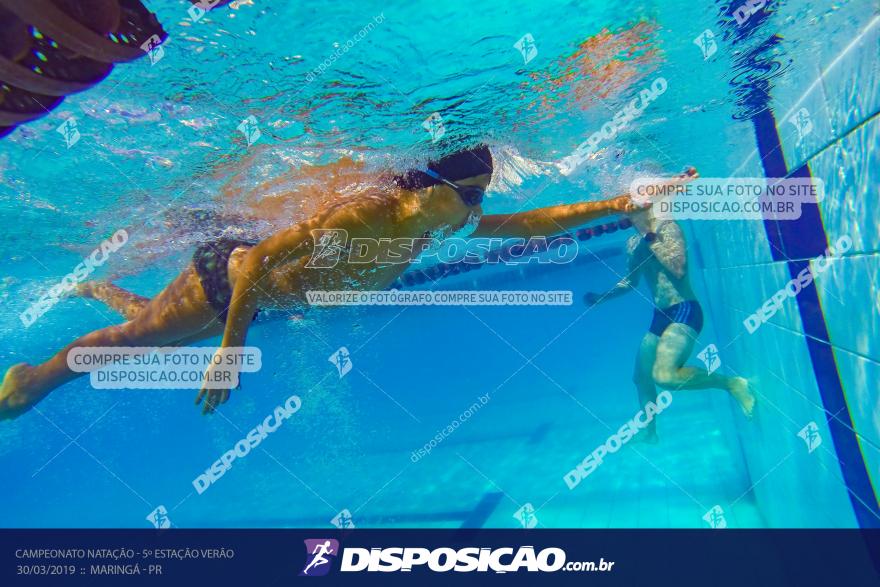 Campeonato de Natação :: Estação Verão 2019