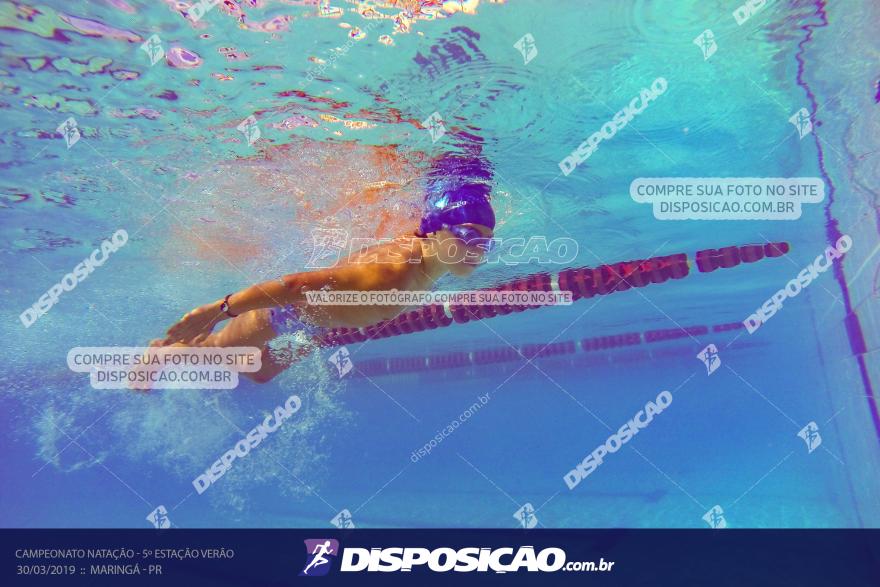 Campeonato de Natação :: Estação Verão 2019