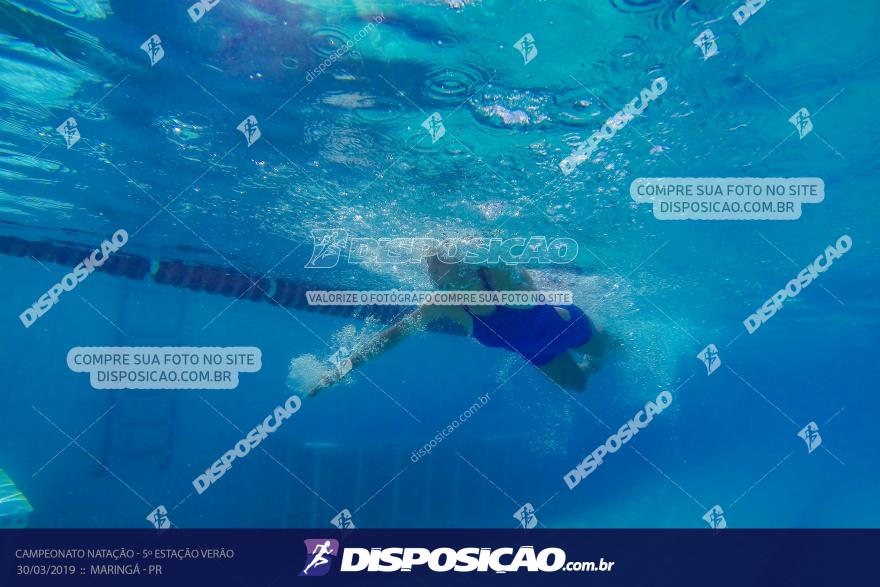 Campeonato de Natação :: Estação Verão 2019