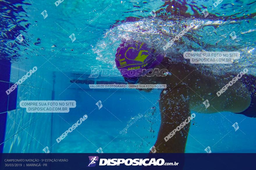 Campeonato de Natação :: Estação Verão 2019