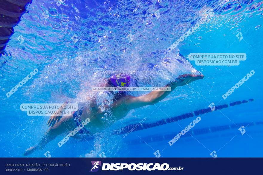 Campeonato de Natação :: Estação Verão 2019