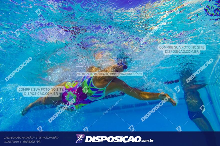 Campeonato de Natação :: Estação Verão 2019