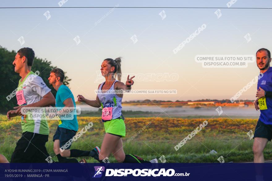 A Yoshii Running 2019 :: Etapa Maringá