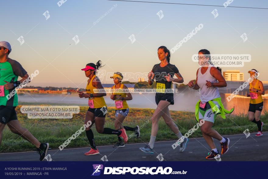 A Yoshii Running 2019 :: Etapa Maringá