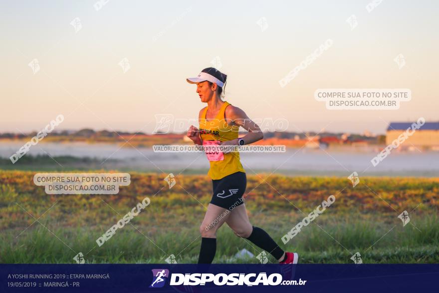 A Yoshii Running 2019 :: Etapa Maringá