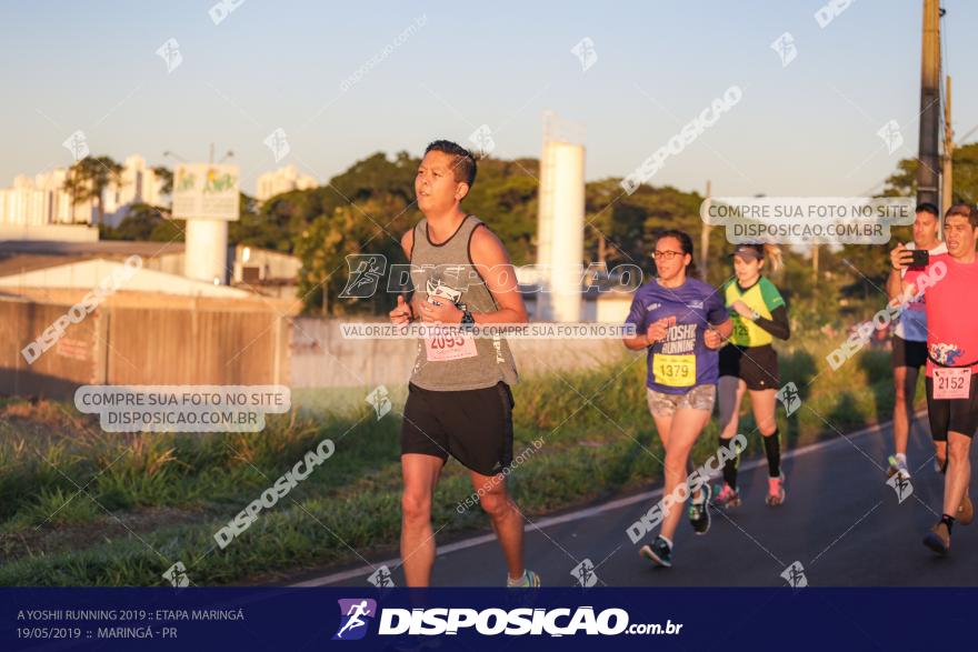 A Yoshii Running 2019 :: Etapa Maringá