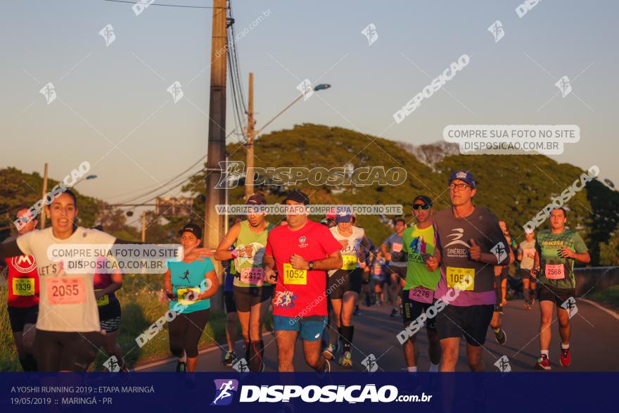 A Yoshii Running 2019 :: Etapa Maringá