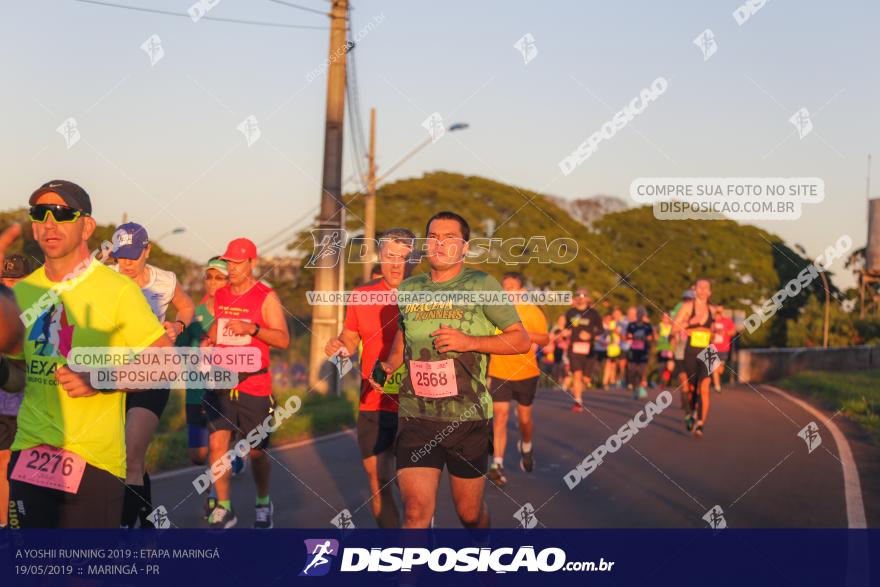 A Yoshii Running 2019 :: Etapa Maringá