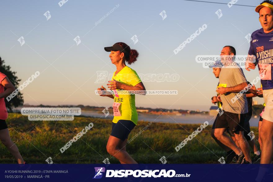 A Yoshii Running 2019 :: Etapa Maringá