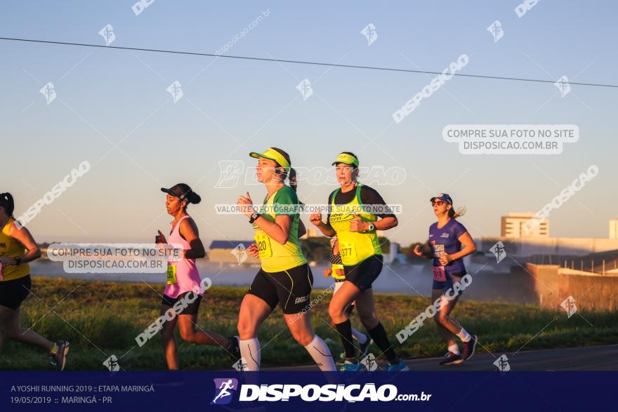 A Yoshii Running 2019 :: Etapa Maringá