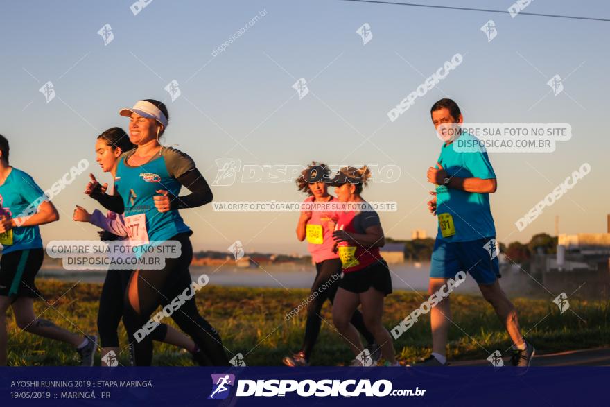 A Yoshii Running 2019 :: Etapa Maringá