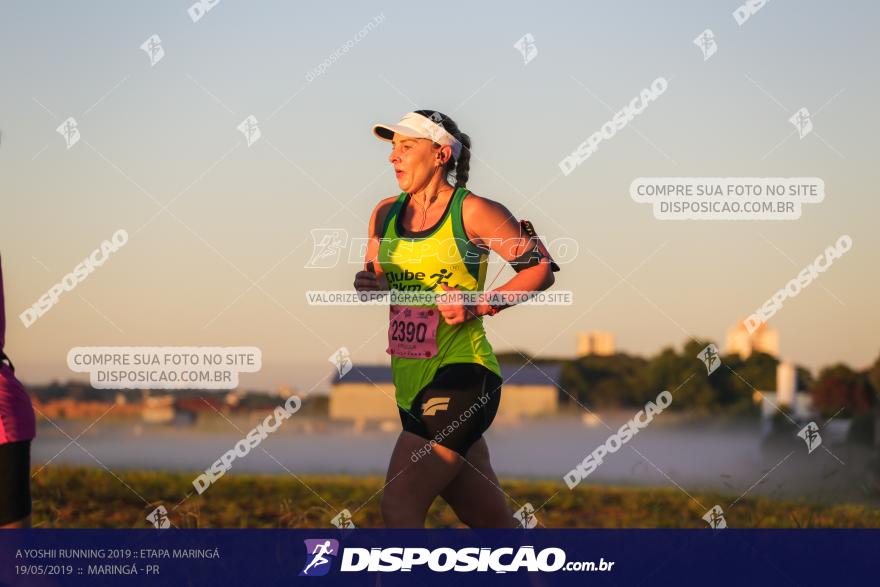 A Yoshii Running 2019 :: Etapa Maringá