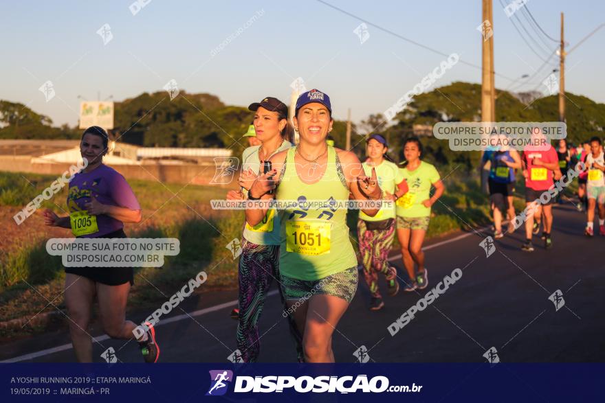 A Yoshii Running 2019 :: Etapa Maringá