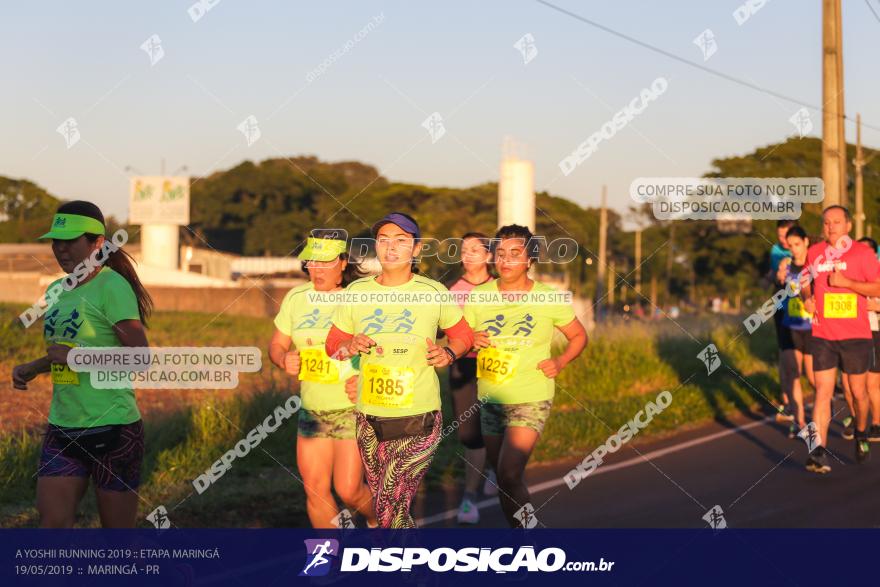 A Yoshii Running 2019 :: Etapa Maringá