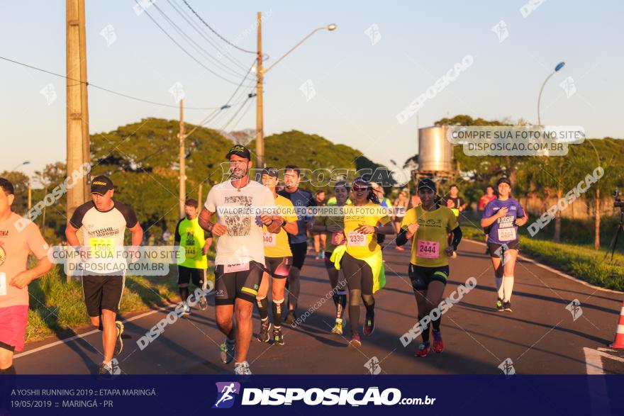 A Yoshii Running 2019 :: Etapa Maringá